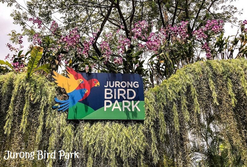 Jurong Bird  Park (Non-guided)